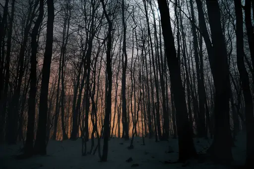 Nahe Des Sonnentempel Kasendorf Bei Nacht Im Wald